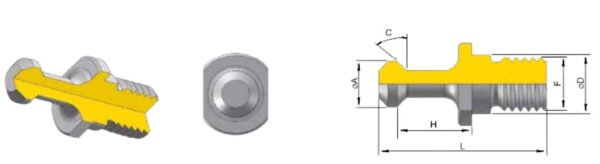 CODOLO M12 CHIRON SENZA FORO