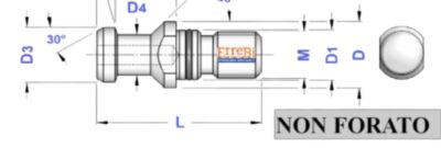 CODOLO M20 ISO7388/2-A SENZA FORO